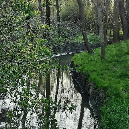 Σπίτι διακοπών Marfi Vendeghaz