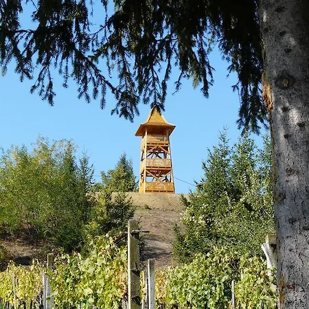 Holiday home Marfi Vendeghaz