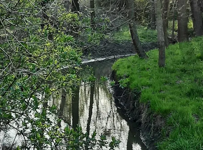 Holiday home Marfi Vendeghaz